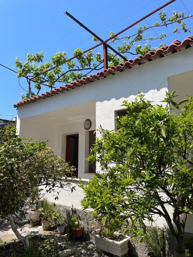 Vila Cano Hotel Durrës Eksteriør billede
