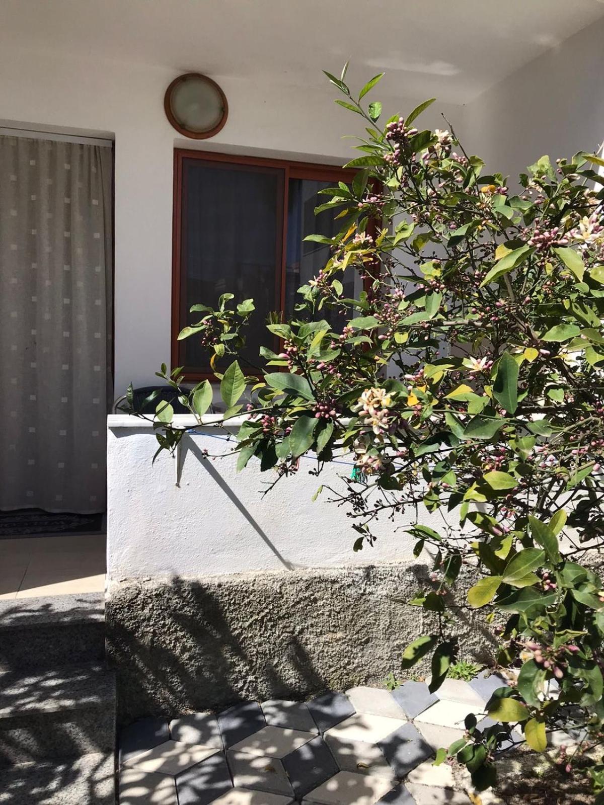 Vila Cano Hotel Durrës Eksteriør billede